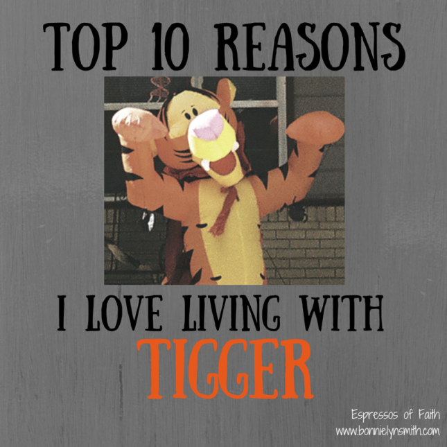 Top 10 Reasons I Love Living With Tigger