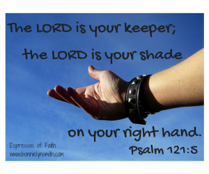 The LORD is your keeper;