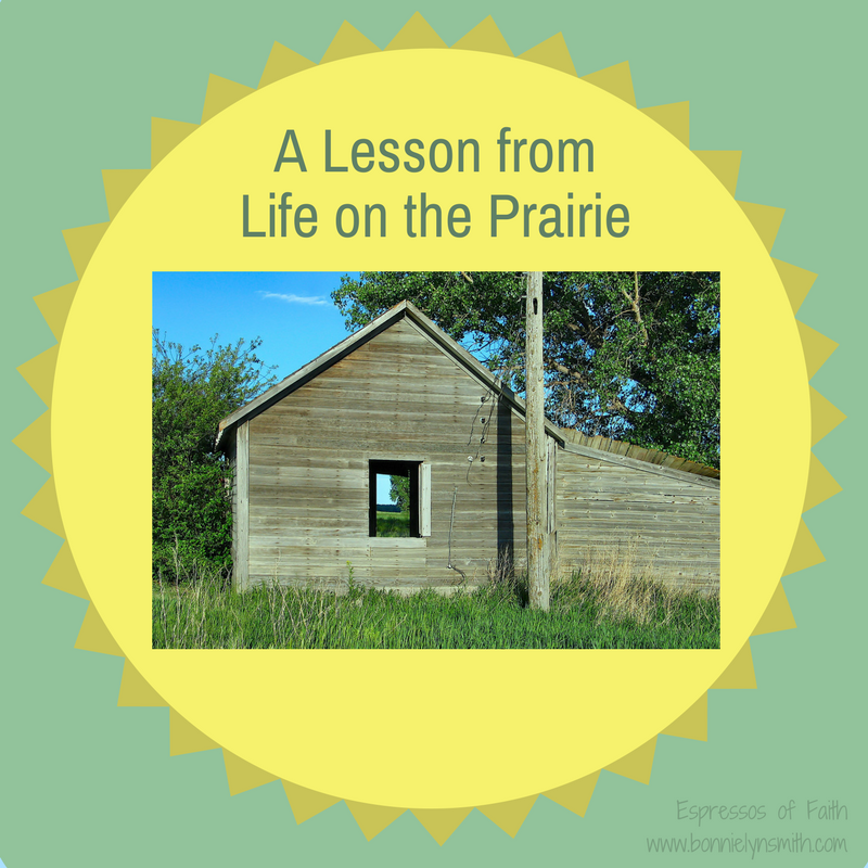 A Lesson from Life on the Prairie-2