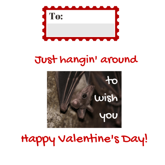 Of Bats and Brides- Who's Your Valentine