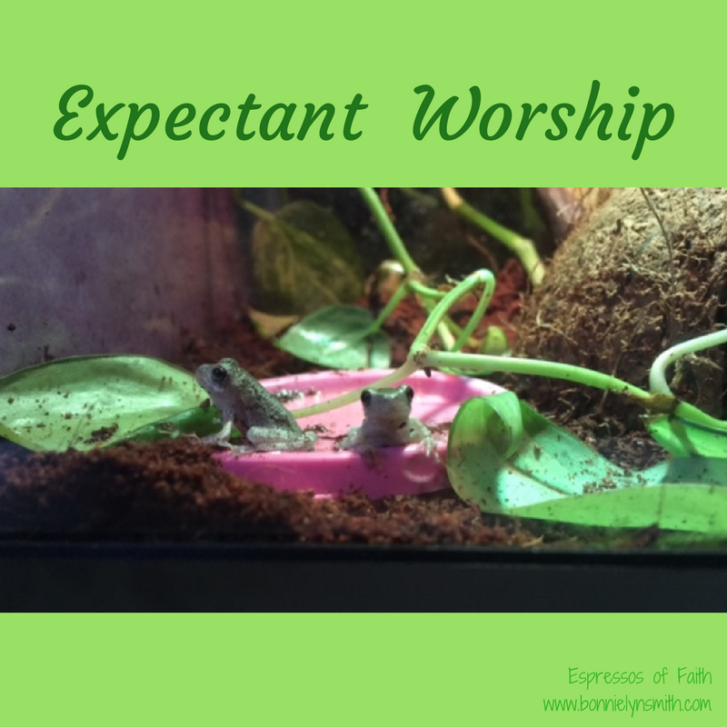 Expectant Worship